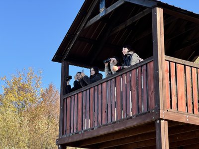 Орнітологічна вежа та пташині екскурсії з'явилися у ландшафтному парку «Диканський»: що це Орнітологічна вежа та пташині екскурсії з'явилися у ландшафтному парку «Диканський»: що це