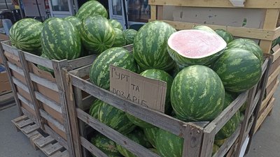 Сезон продажу кавунів та динь: ціни на тернопільському ринку