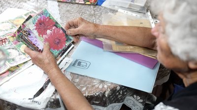 Як 82-річна жителька села Шипинці Ольга Грекул вирощує понад сотню сортів жоржин Як 82-річна жителька села Шипинці Ольга Грекул вирощує понад сотню сортів жоржин