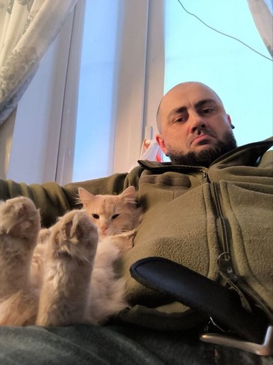 котики, кіт, персиковий кіт, сергій дивак котики, кіт, персиковий кіт, сергій дивак