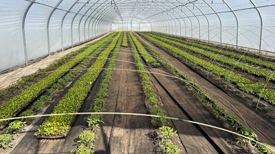 Оновленні грантові програми для аграрїв: що змінили та скільки отримали на Кіровоградщині Оновленні грантові програми для аграрїв: що змінили та скільки отримали на Кіровоградщині