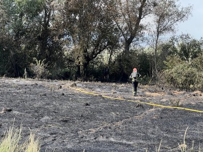 На Полтавщині внаслідок пожежі згорів сінник та постраждала людина На Полтавщині внаслідок пожежі згорів сінник та постраждала людина