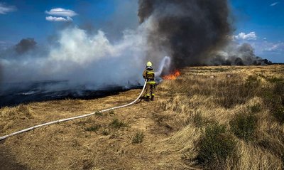 Рятувальник ДСНС гасить пожежу на території сухостою Рятувальник ДСНС гасить пожежу на території сухостою