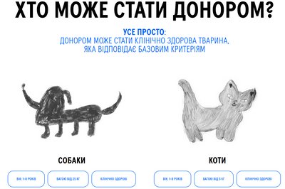 Яка тварина може стати донором Яка тварина може стати донором