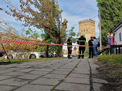 У Луцьку через сильний вітер дерева впали на припарковані автомобілі У Луцьку через сильний вітер дерева впали на припарковані автомобілі