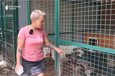 "Кінцева мета — знайти родину": в Одесі працює центр адопції собак, врятованих з війни "Кінцева мета — знайти родину": в Одесі працює центр адопції собак, врятованих з війни