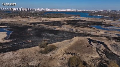 Природа відновлюється: як виглядає територія довкола озера Тягле через місяць після пожежі Природа відновлюється: як виглядає територія довкола озера Тягле через місяць після пожежі