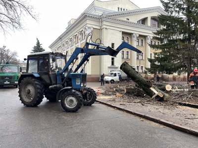 "Рано чи пізно воно впаде": у центрі Полтави спиляли аварійні дерева "Рано чи пізно воно впаде": у центрі Полтави спиляли аварійні дерева