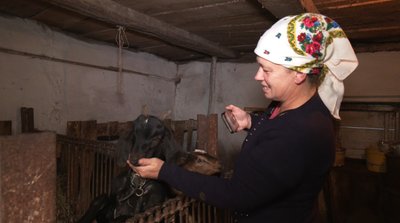 "Я і мої кози", блогерка з Тернопільщини, Любов Кобилянська, відео про село, листопад 2024