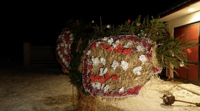 маланка красноїльськ маланка красноїльськ