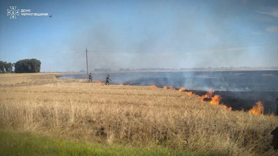 Атака на Чернігівщині: пошкоджене зерносховище та загорівся ліс внаслідок ударів БпЛА