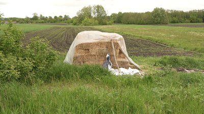 "Перепахали город собі новий": як облаштовуються переселенці з Осоївки на Сумщині "Перепахали город собі новий": як облаштовуються переселенці з Осоївки на Сумщині
