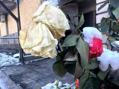 У Добропіллі обстежують будинки після обстрілу проти ночі 8 березня: чи визнають зруйнованими У Добропіллі обстежують будинки після обстрілу проти ночі 8 березня: чи визнають зруйнованими