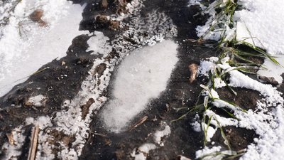 Озимі під льодом: як зберегти врожай під час промерзання ґрунту на Кіровоградщині Озимі під льодом: як зберегти врожай під час промерзання ґрунту на Кіровоградщині