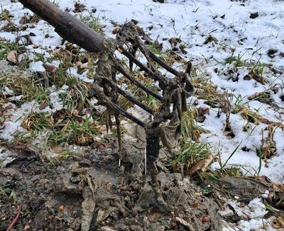 Каналізації, витягнули сміття, водоканал, Чортків, Тернопільщина, лютий 2025 Каналізації, витягнули сміття, водоканал, Чортків, Тернопільщина, лютий 2025