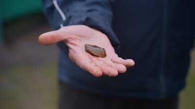 “До нас прилітав 21 КАБ". Як живе Річківська громада на Сумщині