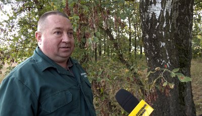 "Лисиці тут бігають": на Волині розкидають приманки для диких тварин з вакциною від сказу "Лисиці тут бігають": на Волині розкидають приманки для диких тварин з вакциною від сказу