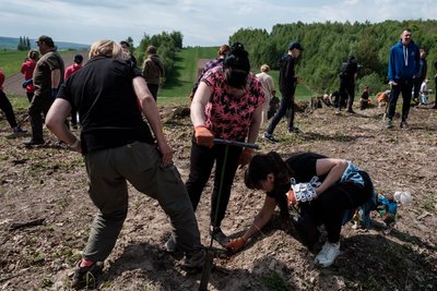 3 травня на Львівщині висадили майже 38 тисяч дерев 3 травня на Львівщині висадили майже 38 тисяч дерев
