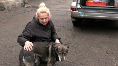 Безпритульні тварини: подружжя з Чернігова щодня годує 35 собак Безпритульні тварини: подружжя з Чернігова щодня годує 35 собак