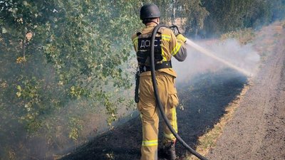 На Черкащині 1 вересня 25 разів горів сухостій На Черкащині 1 вересня 25 разів горів сухостій