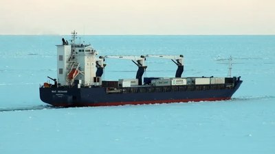 Sevastopolda Türkiyege: işğalciler 15 biñ tonna hırsızlanğan boğdaynı yolladılar — Yaresko