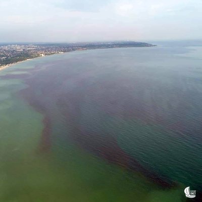 В Одесі море стало червоним: чи небезпечне таке явище В Одесі море стало червоним: чи небезпечне таке явище