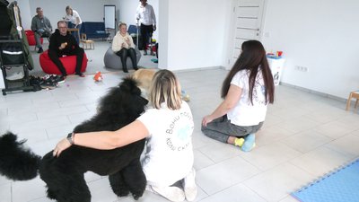 "З собаками не так відчуваєш біль": як у Рівному діє центр каністерапії "З собаками не так відчуваєш біль": як у Рівному діє центр каністерапії