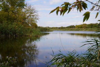 На місці ставка — калюжа: на Дніпропетровщині масово пересихають водойми. Що каже еколог На місці ставка — калюжа: на Дніпропетровщині масово пересихають водойми. Що каже еколог