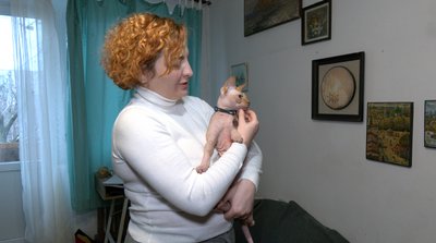 Субсидія на оренду житла: чи зможуть переселенці на Черкащині отримати гроші Субсидія на оренду житла: чи зможуть переселенці на Черкащині отримати гроші