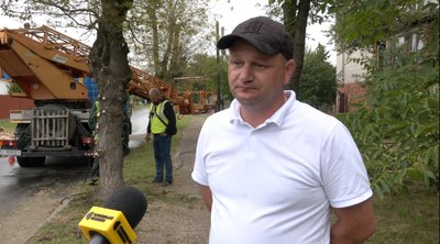 Американський білий метелик на Волині: як у Ковельській громаді борються зі шкідником Американський білий метелик на Волині: як у Ковельській громаді борються зі шкідником