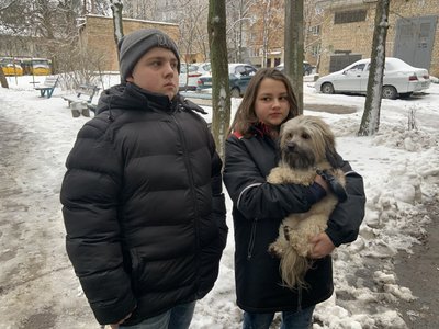 У Києві не пустили дітей в укриття із собакою під час тривоги: деталі інциденту У Києві не пустили дітей в укриття із собакою під час тривоги: деталі інциденту