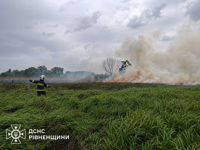 "Далі вже вони були під наглядом єгеря": двох оленят знайшли рятувальники під час ліквідації пожежі на Рівненщині "Далі вже вони були під наглядом єгеря": двох оленят знайшли рятувальники під час ліквідації пожежі на Рівненщині