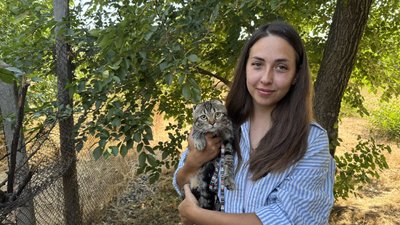 За один день на Миколаївщині безплатно простерилізували майже 100 тварин За один день на Миколаївщині безплатно простерилізували майже 100 тварин
