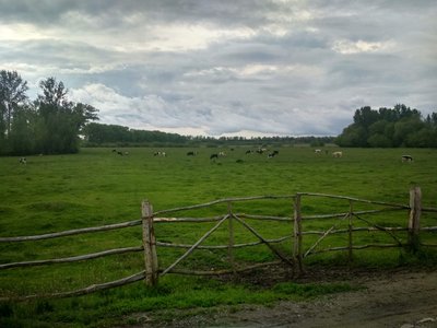село, тернопільщина