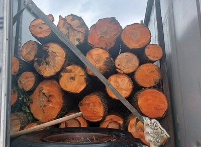 На Житомирщині правоохоронці зупинили автомобіль з нелегальною деревиною На Житомирщині правоохоронці зупинили автомобіль з нелегальною деревиною