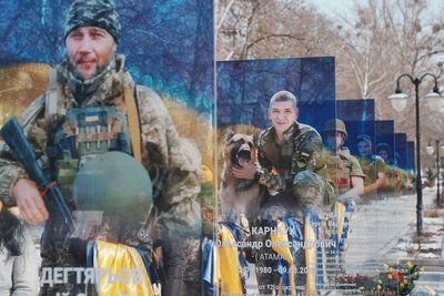 алея пам'яті кулиничі алея пам'яті кулиничі