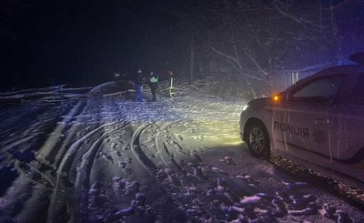Повалені дерева і знеструмлення: у ДСНС розповіли про наслідки негоди на Черкащині Повалені дерева і знеструмлення: у ДСНС розповіли про наслідки негоди на Черкащині