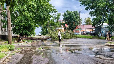 У Кропивницькому внаслідок грози попадали дерева У Кропивницькому внаслідок грози попадали дерева