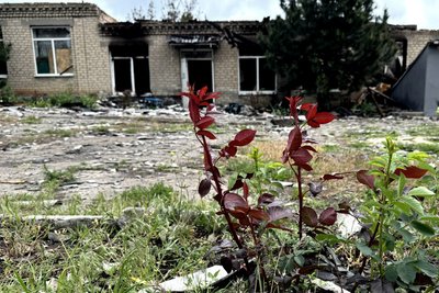"Вночі – гупає, вдень – так собі, ми звикли». Фоторепортаж з прифронтового Золотого Колодязя на Донеччині "Вночі – гупає, вдень – так собі, ми звикли». Фоторепортаж з прифронтового Золотого Колодязя на Донеччині