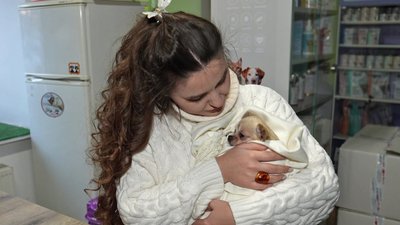 "Холод може бути небезпечним": як кропивничани допомагають тваринам під час морозів "Холод може бути небезпечним": як кропивничани допомагають тваринам під час морозів