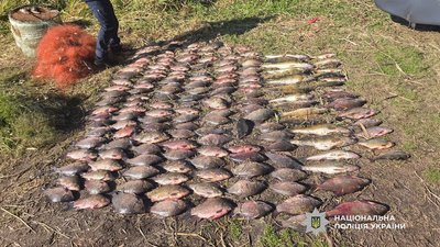 Збитки склали понад 300 тис. грн: на Чернігівщині виявили рибалку, якого підозрюють у браконьєрстві Збитки склали понад 300 тис. грн: на Чернігівщині виявили рибалку, якого підозрюють у браконьєрстві
