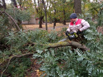 В Одесі через негоду повалені близько 20 дерев та великих гілок В Одесі через негоду повалені близько 20 дерев та великих гілок
