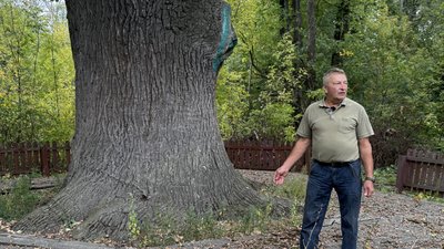Виконуючий обов'язки директора національного парку "Святі гори" Сергій Приймачук біля 700-річного дуба у національному парку "Святі гори" Донецька область 19 вересня 2025 рік Виконуючий обов'язки директора національного парку "Святі гори" Сергій Приймачук біля 700-річного дуба у національному парку "Святі гори" Донецька область 19 вересня 2025 рік