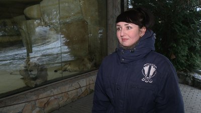 Частину тварин в Рівненському зоопарку переселили, аби вони не мерзли Частину тварин в Рівненському зоопарку переселили, аби вони не мерзли