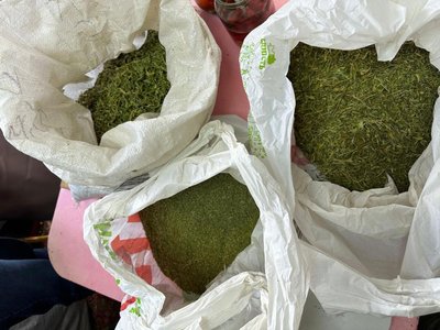 У Києві викрили наркодилерів з "товаром" на 1 млн грн У Києві викрили наркодилерів з "товаром" на 1 млн грн