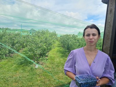 Дві тисячі кущів лохини вдома: родина фермера з Житомирщини на 50 сотках вирощує лохину різних сортів Дві тисячі кущів лохини вдома: родина фермера з Житомирщини на 50 сотках вирощує лохину різних сортів