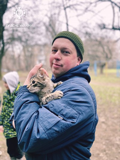 В Одесі врятували кота, який добу просидів на дереві В Одесі врятували кота, який добу просидів на дереві