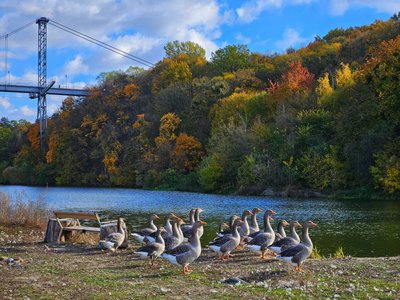 Осіння фотопрогулянка Шодуарівським парком у Житомирі Осіння фотопрогулянка Шодуарівським парком у Житомирі