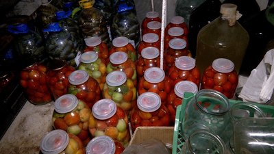 Приготували майже 800 банок: господині з Вінниччини консервують овочі для оборонців Приготували майже 800 банок: господині з Вінниччини консервують овочі для оборонців