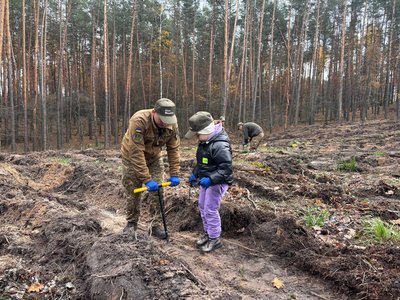 "Робота в задоволення": у лісництві на Черкащині висадили нові дерева "Робота в задоволення": у лісництві на Черкащині висадили нові дерева